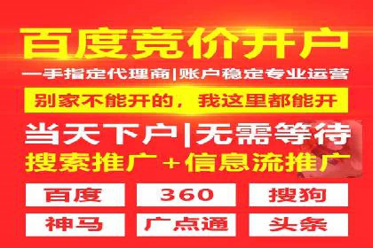 关键词竞价排名策略案例分析